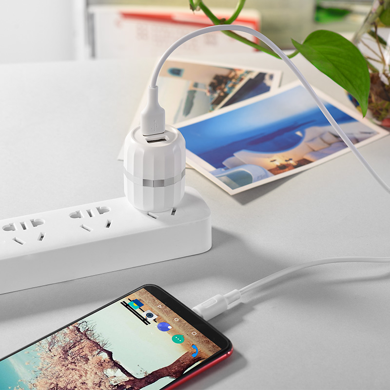 c41 wisdom dual port us charger set with type c cable charging