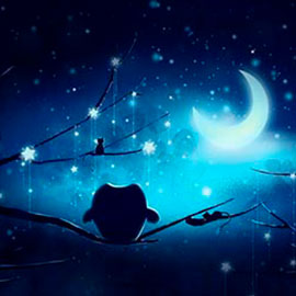 kiki dreaming moon kiki dreaming moon