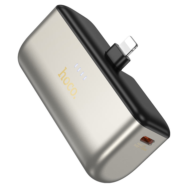 q31 ip gold