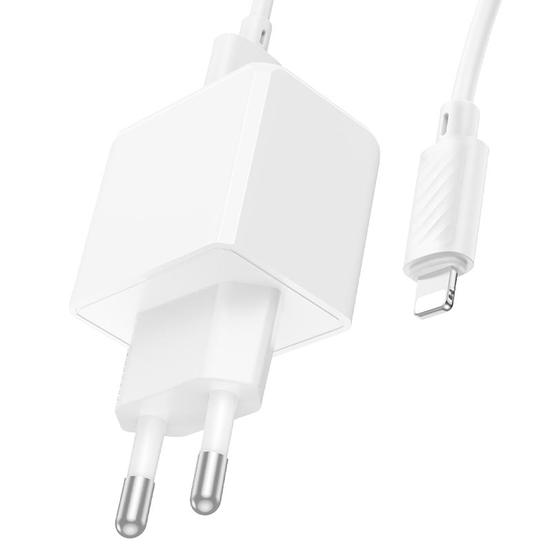 hoco nt1 superior 1port wall charger tha set usba ltn output