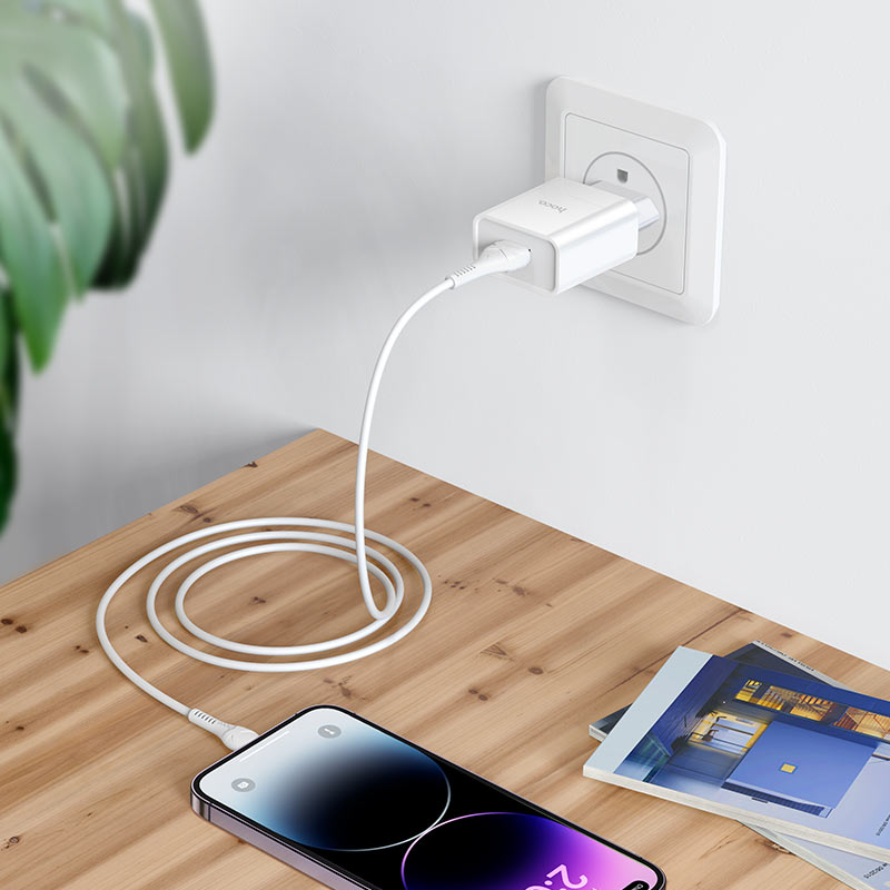 hoco nt3 grand 1port wall charger tha set usba ltn overview